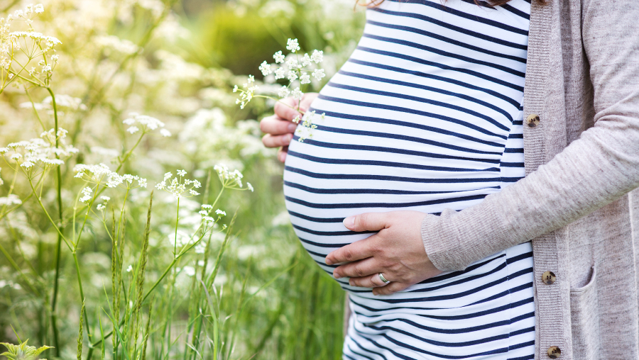 Psicoterapia Maternidad